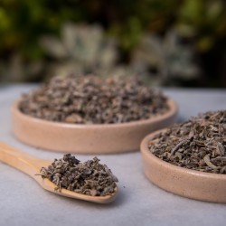 Pastillas de Incienso en Resina Salvia Blanca 4 unidades - Sagrada Madre - Defumación Activada - Ecoartesanal