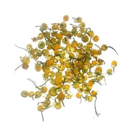 Fleurs de camomille 1kg