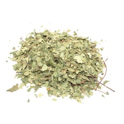 Bouleau (feuille coupée) Bouleau (feuille...