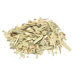 Eucalyptus (gesneden blad) Eucalyptus (gesneden...