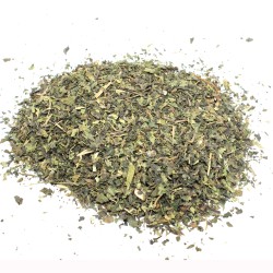 Ortiga verde (hoja cortada) Green nettle (cut...
