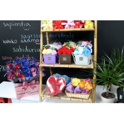 Hostenatura