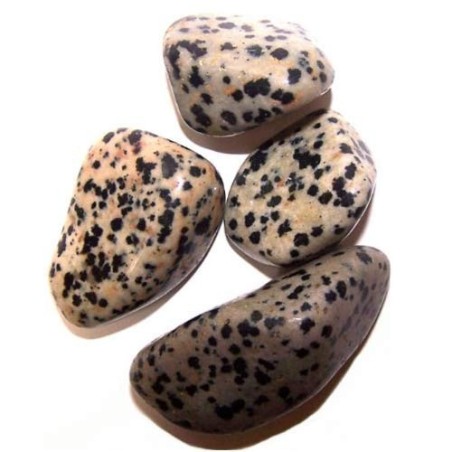 L Tumble Stones - Dalmata - 24 unidades