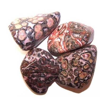 L Tumble Stones - Leopard Skin - 24 unidades