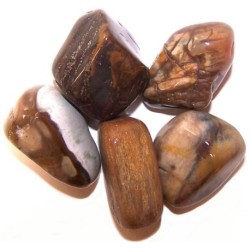 L Tumble Stones - Madera Petrificada - 24 unidades