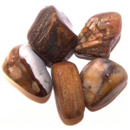 L Tumble Stones - Madera Petrificada - 24 unidades