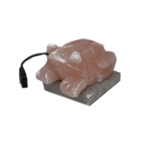 Lampada di sale dell'Himalaya a forma di rospo USB (Multi)