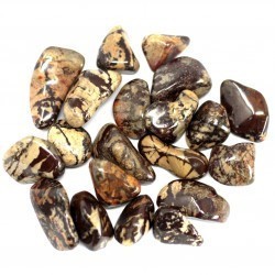 Piedra preciosa africana - Nguni 20 unidades