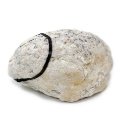 Hostenatura