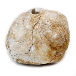 Hostenatura