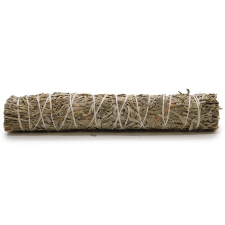 Bundle of Grass - Blue Sage 22.5 cm