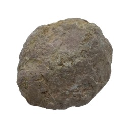 Hostenatura