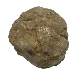 Hostenatura