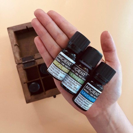 KIT AROMATERAPIE (CUTIE DE LEMN SI 6 ULEIURI ESENTIALE)