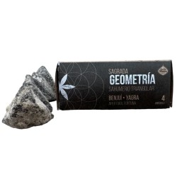 Benjoin triangulaire Yagra Encens Sainte Mère -...