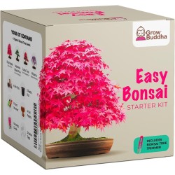 KIT DE DÉMARRAGE BONSAÏ - 4 TYPES DIFFÉRENTS -...