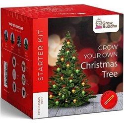 KIT DE DÉMARRAGE POUR FAIRE POUSSER VOTRE SAPIN...