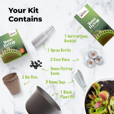 KIT JARDINERIA - VENUS FLYTRAP - PLANTA CARNIVORA - GROW BUDDHA
