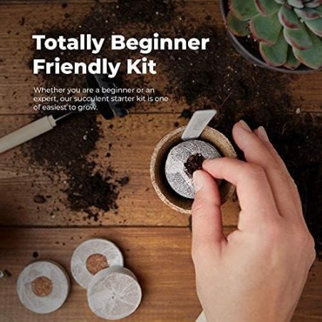KIT GIARDINAGGIO - PIANTE GRASSE - COLTIVA BUDDHA