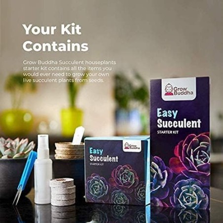 KIT JARDINERIA - SUCULENTAS - GROW BUDDHA
