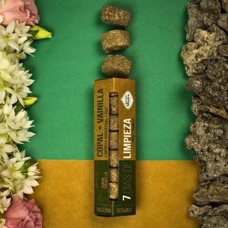 Pastilles Fumeurs Activées 7 jours de Nettoyage Copal Vanille - Nettoyage Paix Ancestrale - Sainte Mère