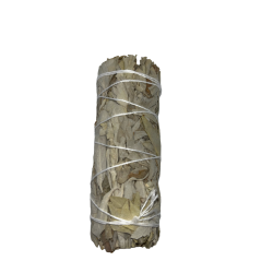 Inbunden Kalifornien White Sage | Ekologiskt och hållbart | 100% original | Rening, energirening och harmoni | 10 cm