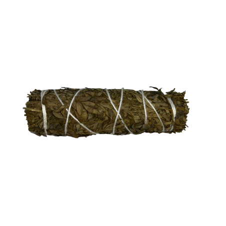 Rue Tying | Ecologico e Sostenibile | 100% originale | Protezione e Pulizia | 10 cm| 1 unità