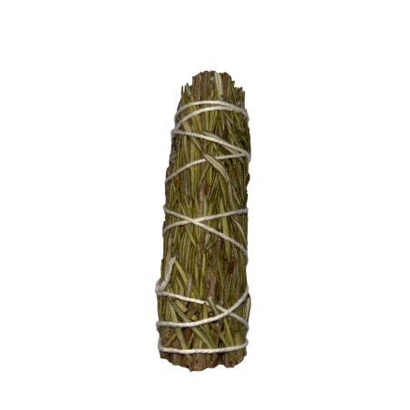 Bundle of Rosemary | Eco-Friendly & Sustainable | 100% Original | Purification & Protection | 10cm | 1 Unit