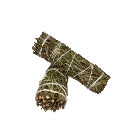 Pacote Alecrim | Ecológico e Sustentável | 100% Originais | Purificação e Proteção | 10cm | 1 unidade