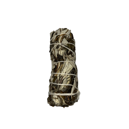Yerba Santa Bundle | Eco-Friendly & Sustainable | 100% Original | Cleanliness & Harmony | 10cm | 1 Unit