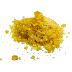 REINES MITTELAMERIKA GOLDEN COPAL Natürliches...