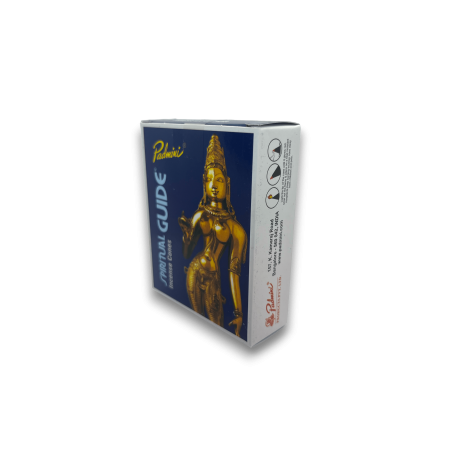 PADMINI Conos de Incienso Spiritual Guide - 12 conos - Fragancia de la India