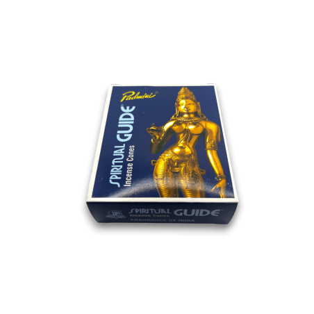 PADMINI Conos de Incienso Spiritual Guide - 12 conos - Fragancia de la India