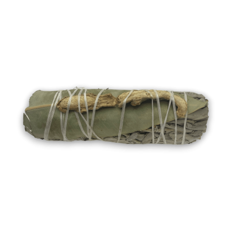 Lligat de Salvia Blanca, Eucaliptus i Gengibre Smudge Made in Mèxic - Lligat d'Herba 10cm