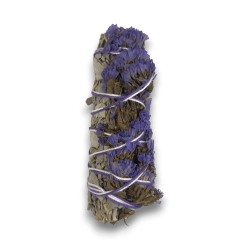 Hostenatura