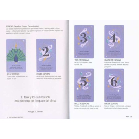 ELEVATE Tutto per leggere i tarocchi (Libro + Mazzo di Tarocchi)