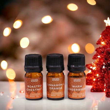 クリスマスパーティー用のアロマオイルのセット-12x5ml。