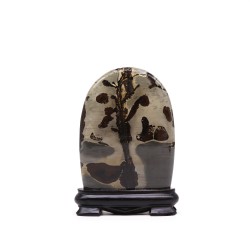Guohua Image Stones - Strik - 145x110 mm (ca....