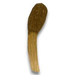 Pop Stick Palo Santo Eucalyptus - Hostenatura -...