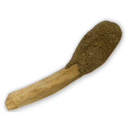 Hostenatura