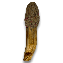 ポップスティック パロサント サルビア ブランカ - ホステナトゥーラ -...