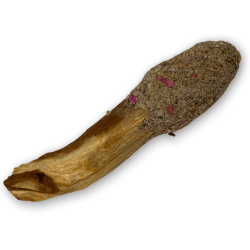Hostenatura