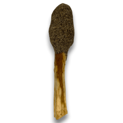 Pop Stick Pal Sant Sàlvia Negra - Hostenatura -...