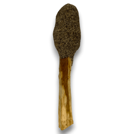 Pop Stick Palo Santo Schwarzer Salbei - Hostenatura - Spirituelle Verbindung und Reinigung