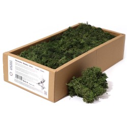 Mousse de renne vert foncé pour la décoration -...
