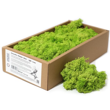 Musgo de Reno Verde Claro para decoración - 500gr.