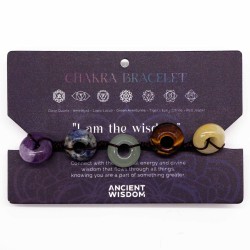 Pulseira Círculo de Pedras Chakra - Pulseira de...
