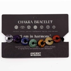 Pulseira Chakra Pedras Mini Círculos - Pulseira...