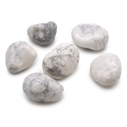 Grote witte howliet magnetistische steen -...