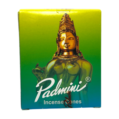 PADMINI お香コーン グリーンボックス お香 コーン - お香 12 個入りボックス